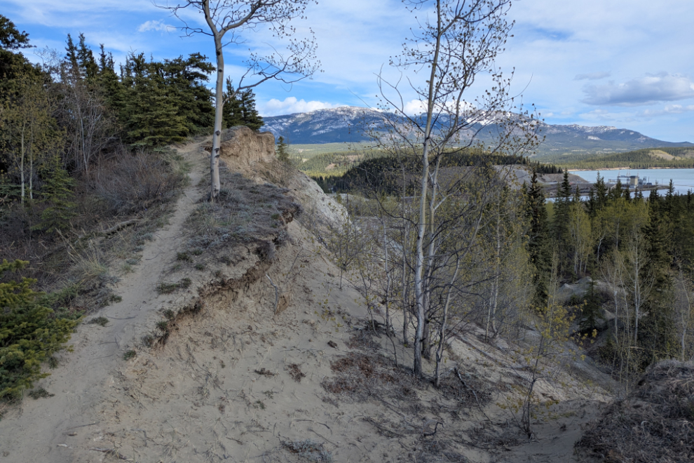A little-used trail at the south end of the Whitehorse airport.