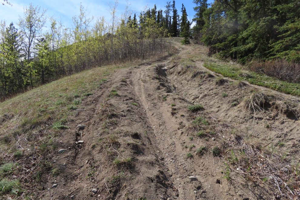 Climbing the escarpment at the south end of the Whitehorse airport.