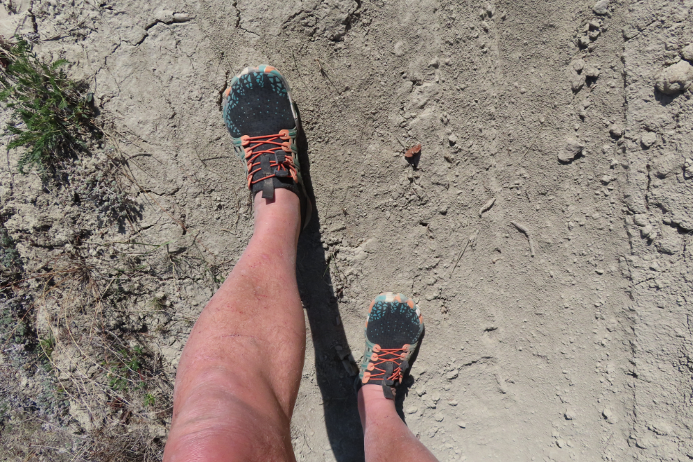 My new Bearefoot brand barefoot shoes.