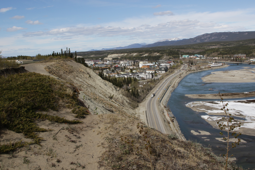 This section of one of the trails at the Whitehorse airport ends abruptly at a landslide just ahead, and it's a very long way down if you keep walking!
