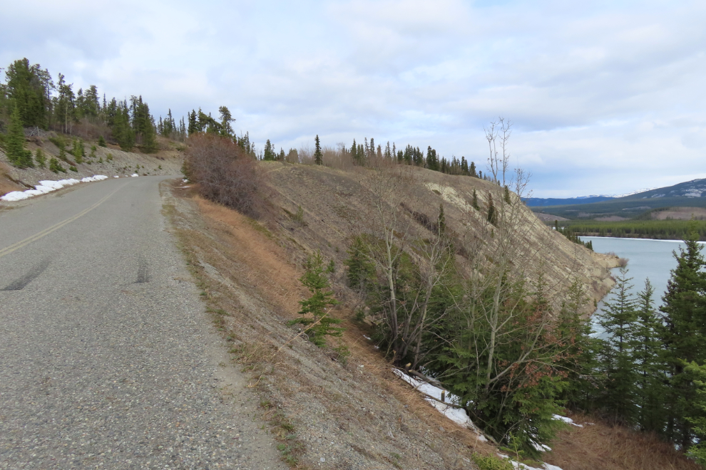 Looking up Miles Canyon Road towards the Yukon River Loop Route trail.