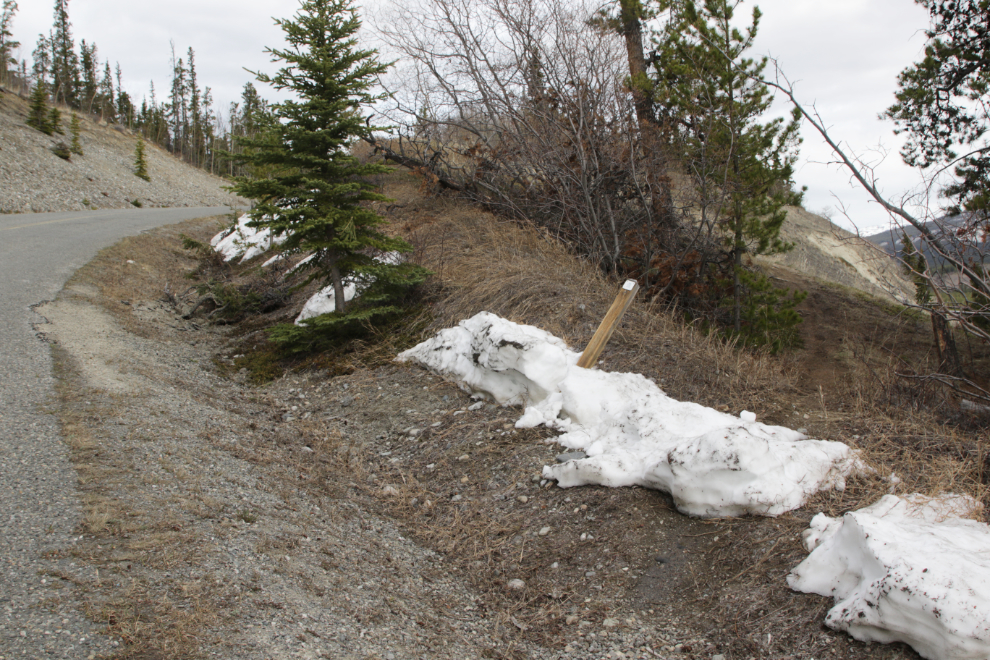 Miles Canyon Road and the Yukon River Loop Route trail.