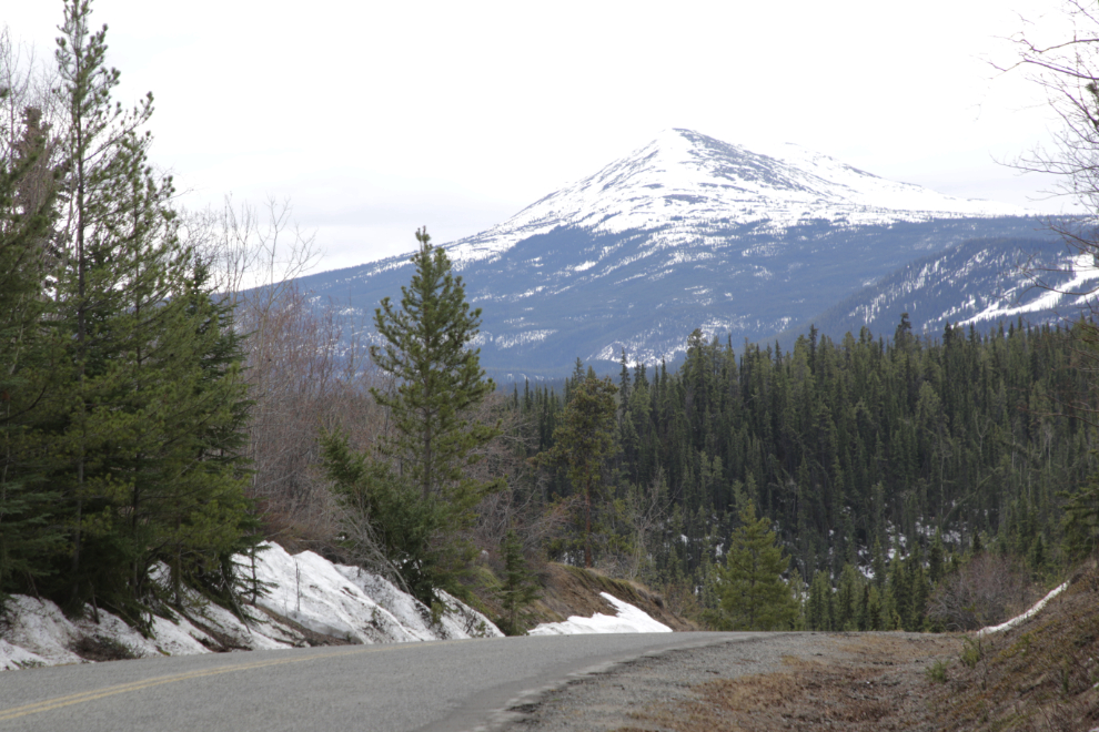 The mountain known as Golden Horn, seen from the Miles Canyon Road.
