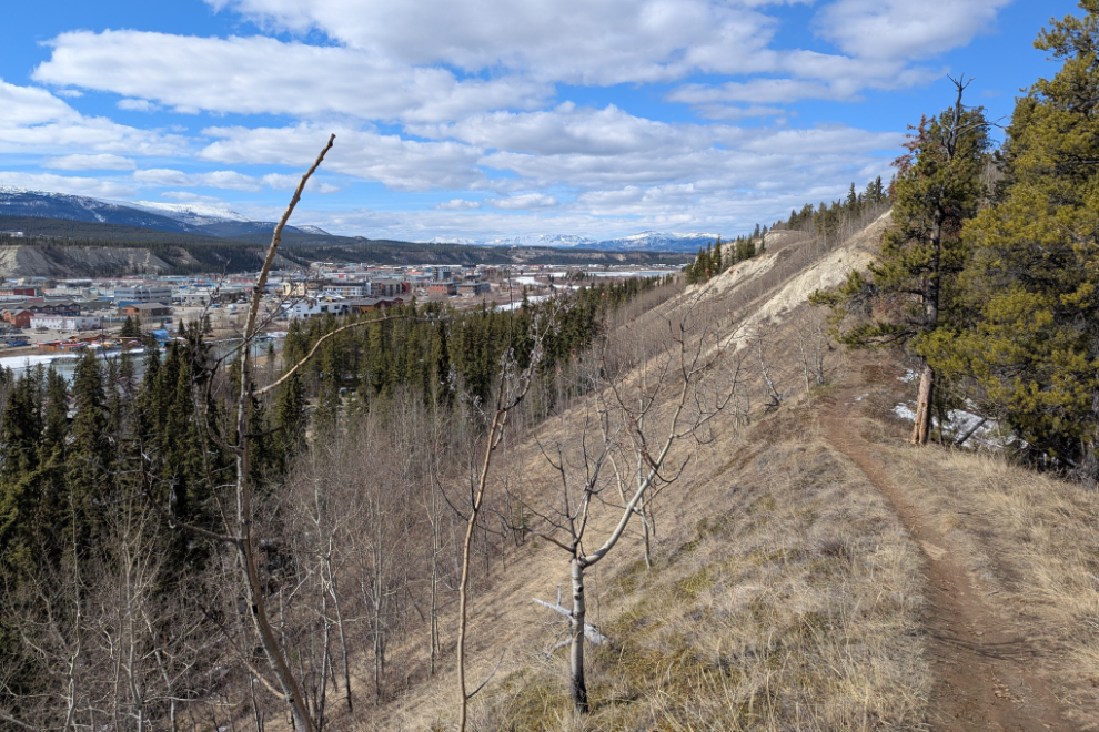 The Hospital Ridge Trail, Whitehorse, Yukon.