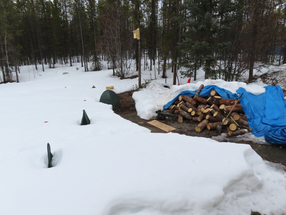 Digging a 3-cord load of firewood out of the snow.
