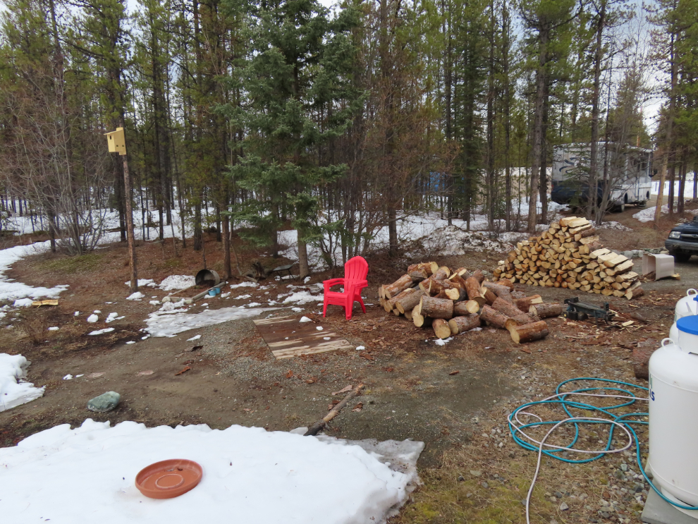 Spring arriving at the bee garden, and dealing with firewood. 