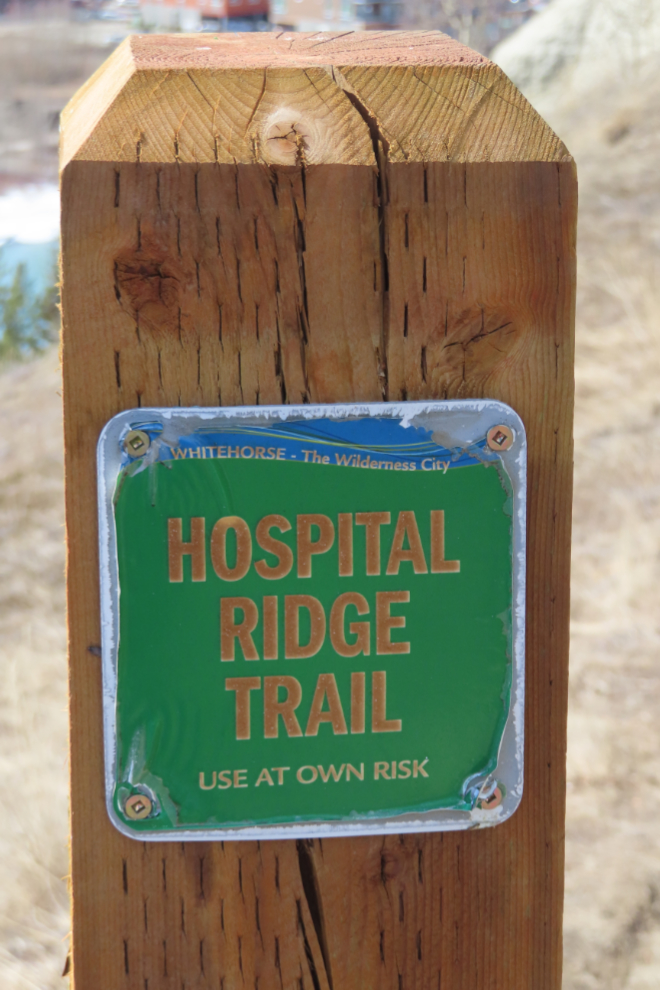 The Hospital Ridge Trail, Whitehorse, Yukon.