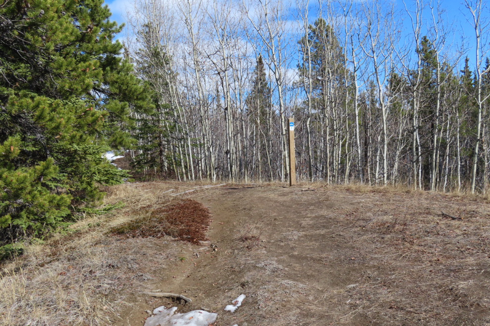 The connector trail between the Hospital Ridge Trail and the Long Lake Ridge Trail.