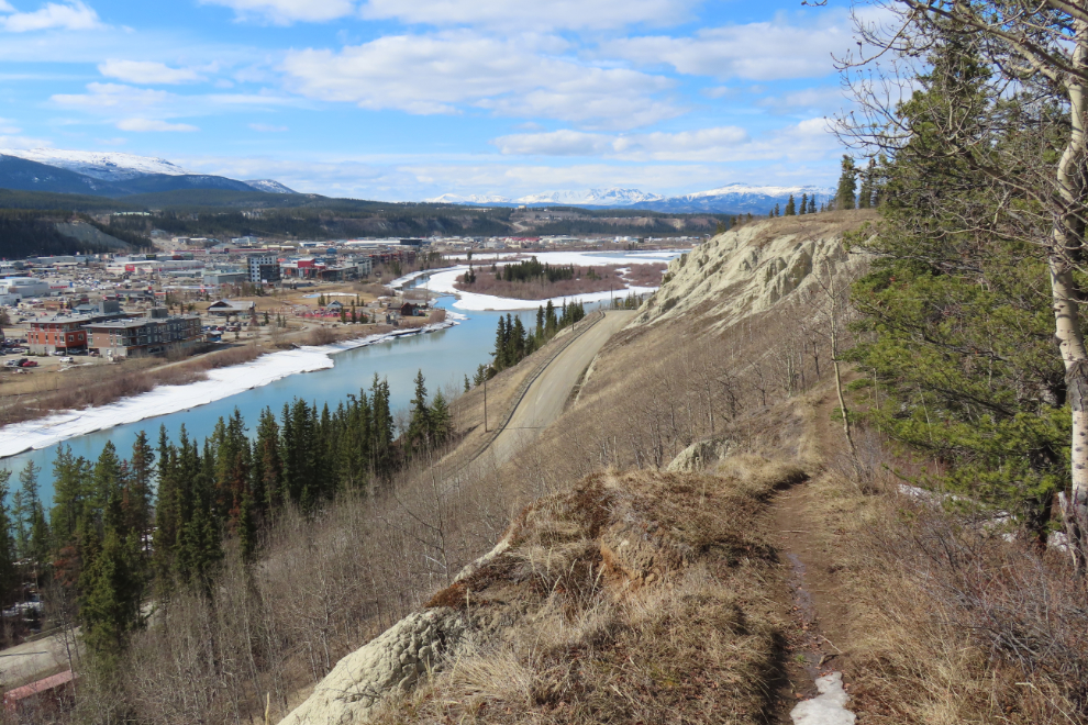 The Hospital Ridge Trail, Whitehorse, Yukon.
