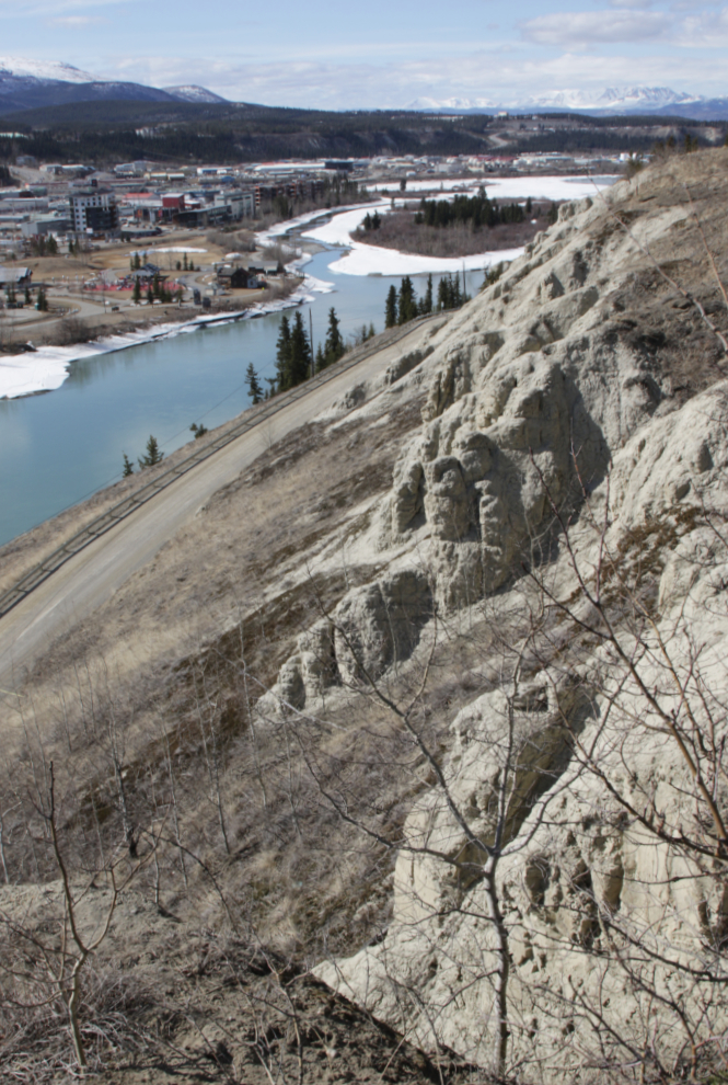 Looking down at the clay cliffs from the Hospital Ridge Trail, Whitehorse, Yukon.