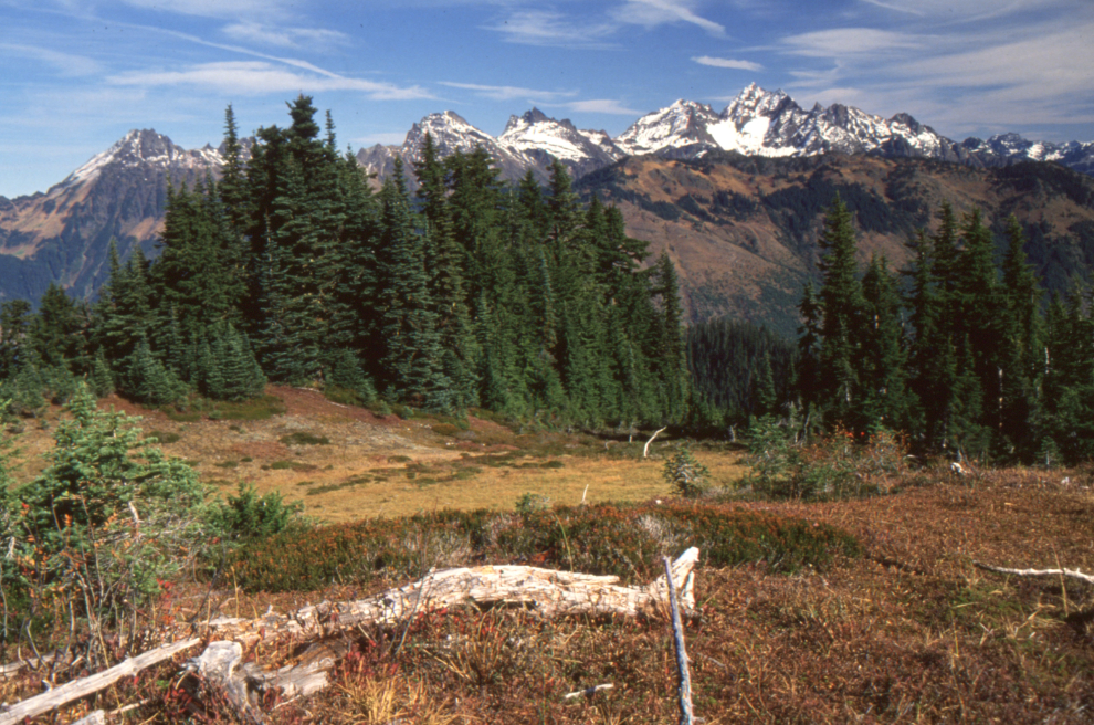 The Cheam Range from Mt. Mercer in 1989.