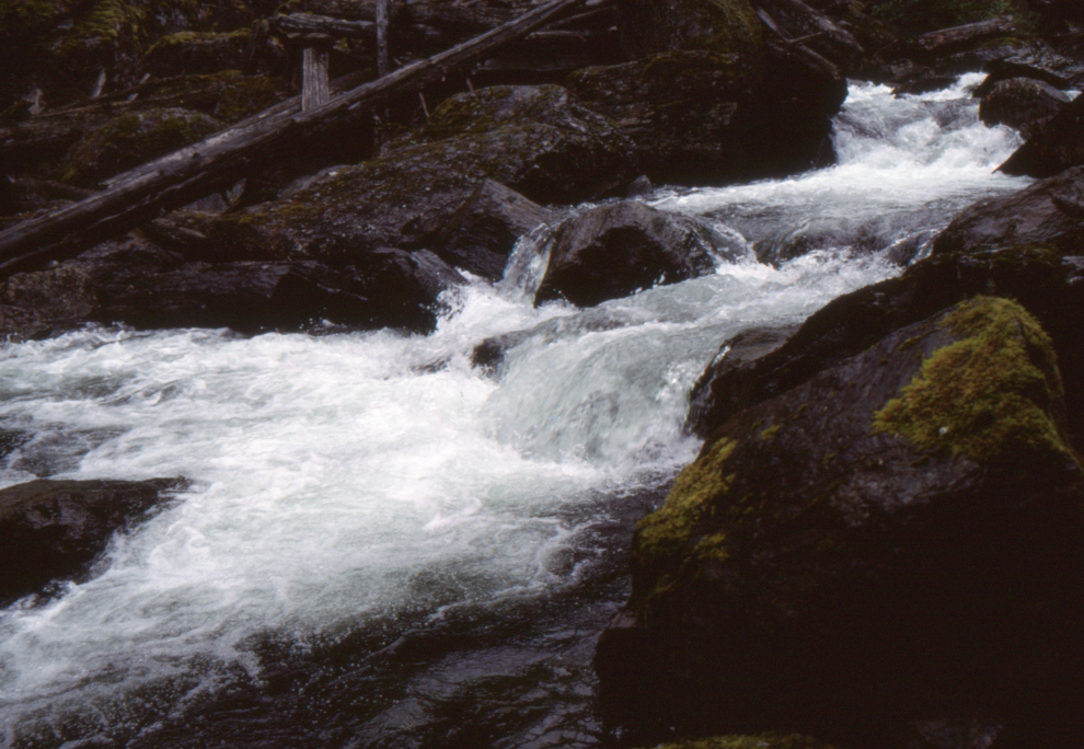 Foley Creek in the Chilliwack River Valley in 1989.