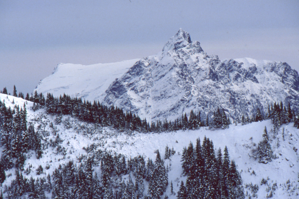 Mt. Tomyhoi, with its distinctive saddle glacier, in 1989.