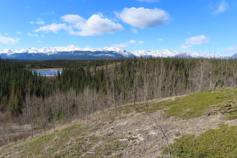 A vast view above Rat Lake, Yukon.