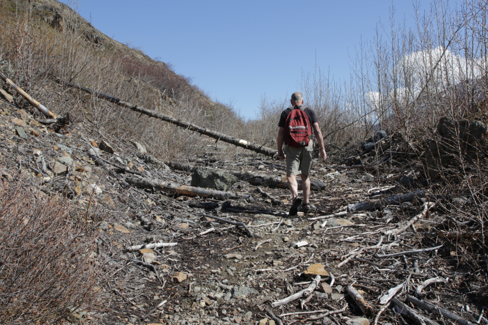 Avalanche debris on the hiking trail to the historic Venus silver mine, Yukon.