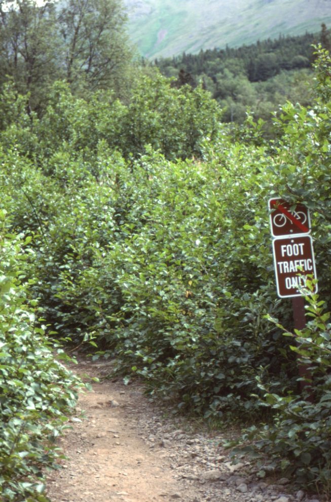 Wolverine Peak Trail, Anchorage, Alaska
