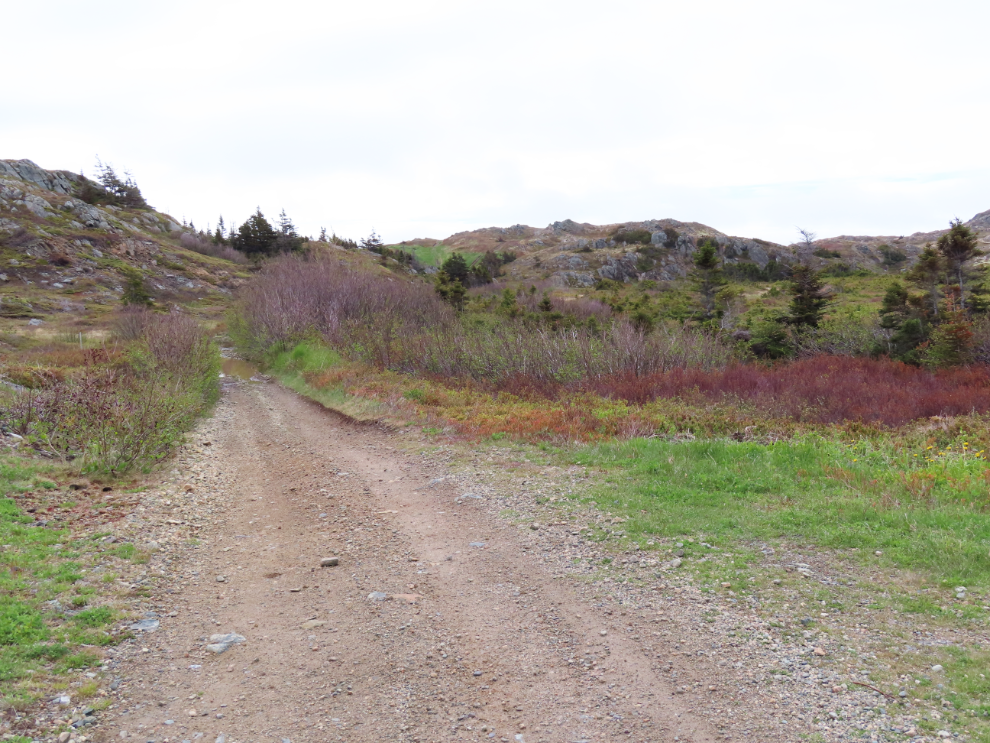 Hiking the Northside Trail at Twillingate, Newfoundland.