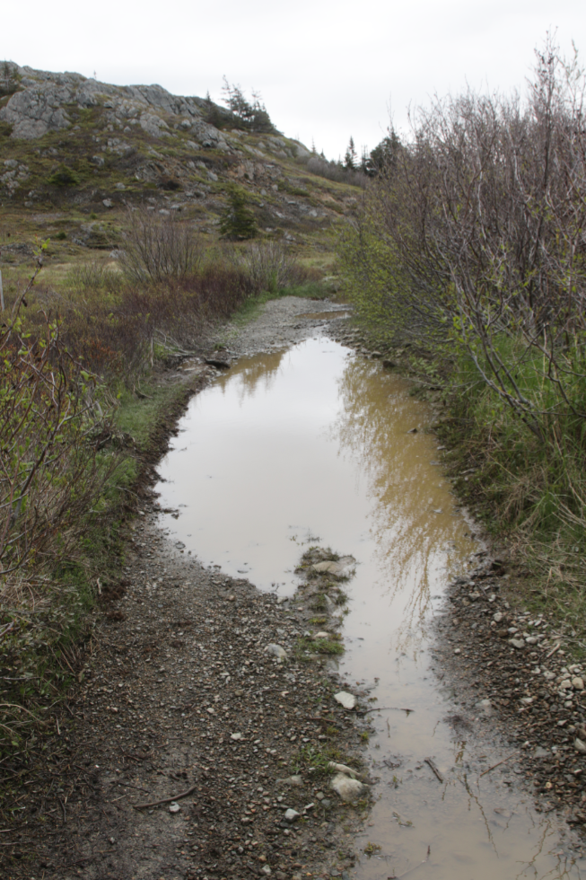 Hiking the Northside Trail at Twillingate, Newfoundland.
