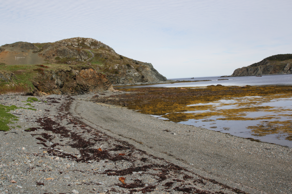 Hiking to Batrix Island at Twillingate, Newfoundland.