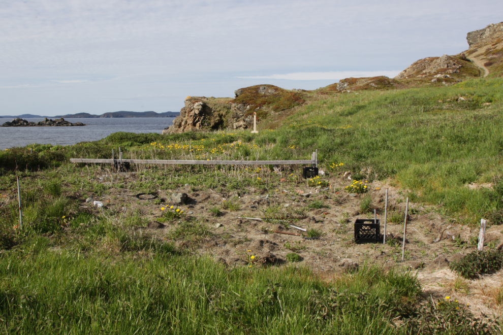 A garden on Batrix Island at Twillingate, Newfoundland.