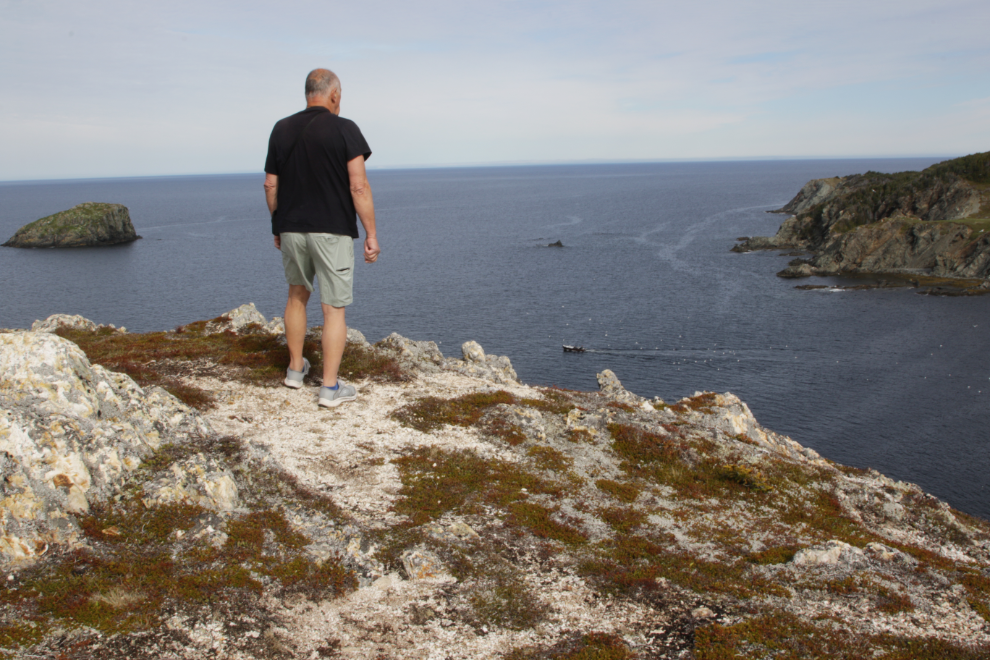 The view from the top of Batrix Island at Twillingate, Newfoundland.