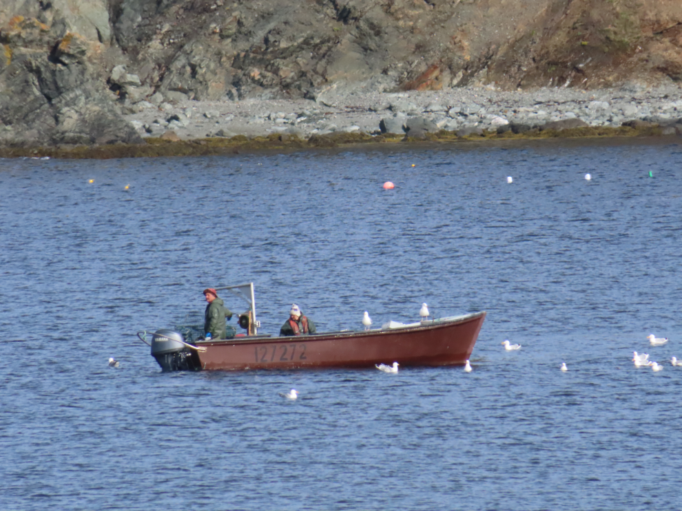 Back Harbour at Twillingate, Newfoundland.