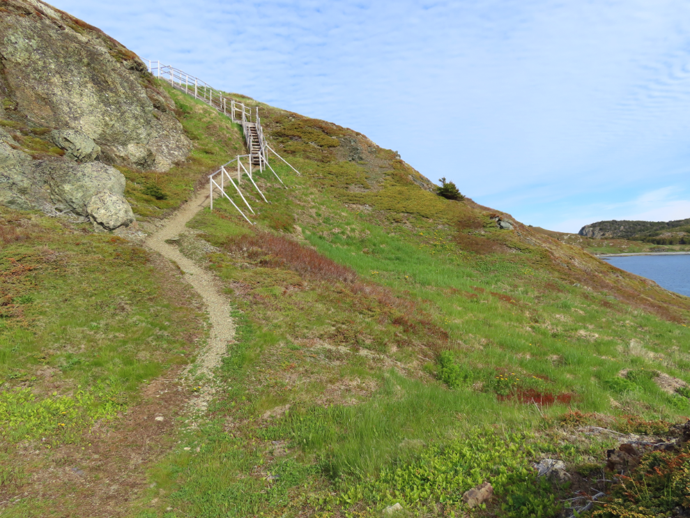 Stairs on the hike to Batrix Island at Twillingate, Newfoundland.