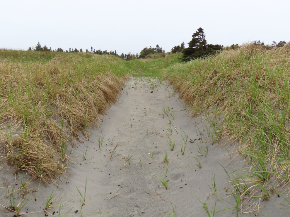 A trail from the beach at Banting Memorial Municipal Park at Musgrave Harbour, Newfoundland.
