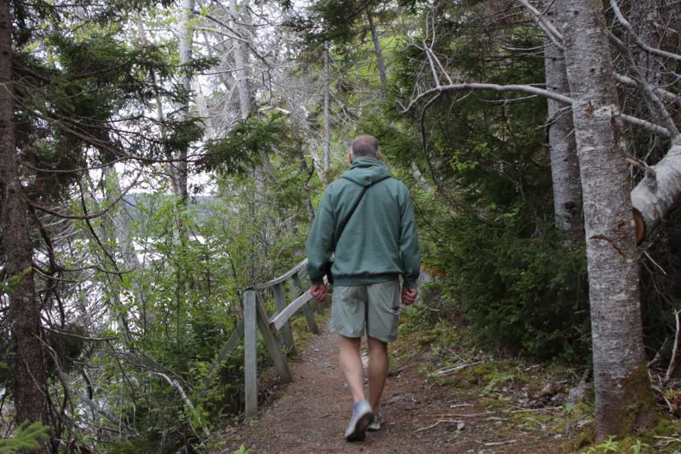 Hiking the Coastal Trail at Terra Nova National Park, Newfoundland.
