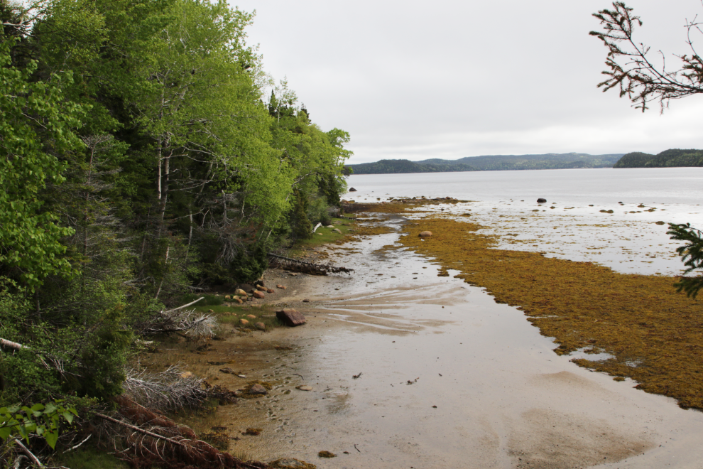 Hiking the Coastal Trail to Pissamare Falls at Terra Nova National Park, Newfoundland.