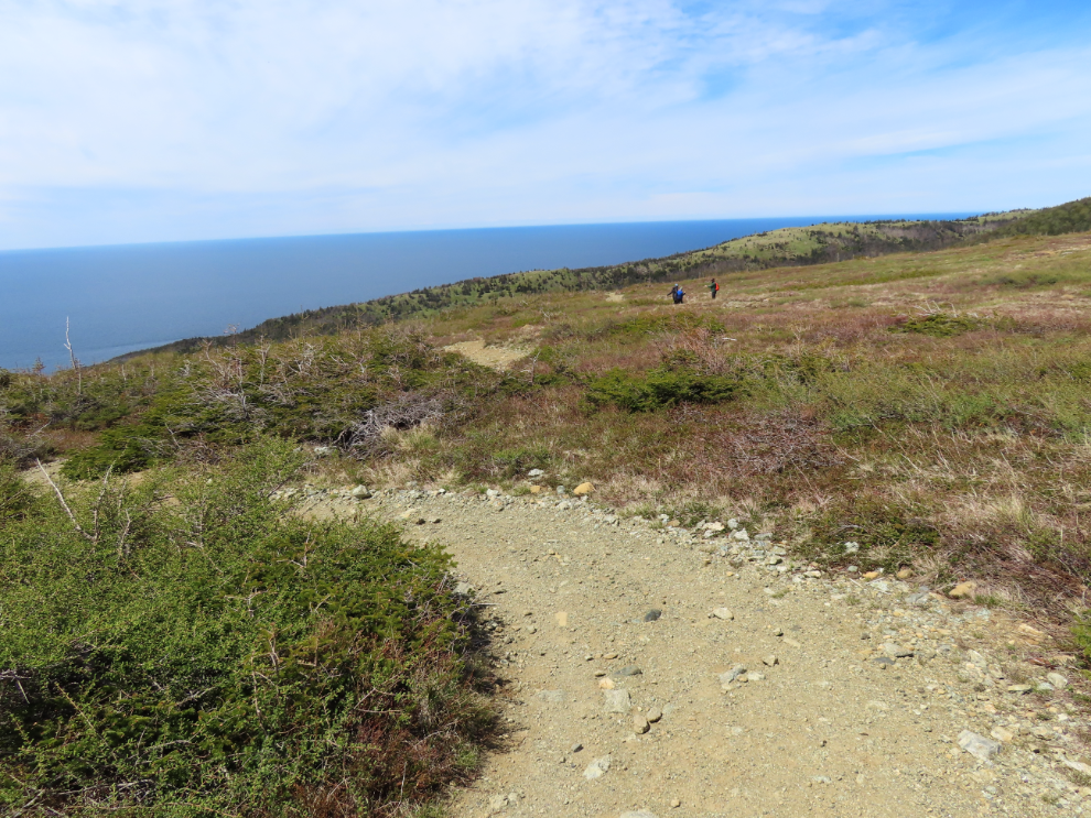 Green Gardens Trail, Gros Morne National Park, Newfoundland. 