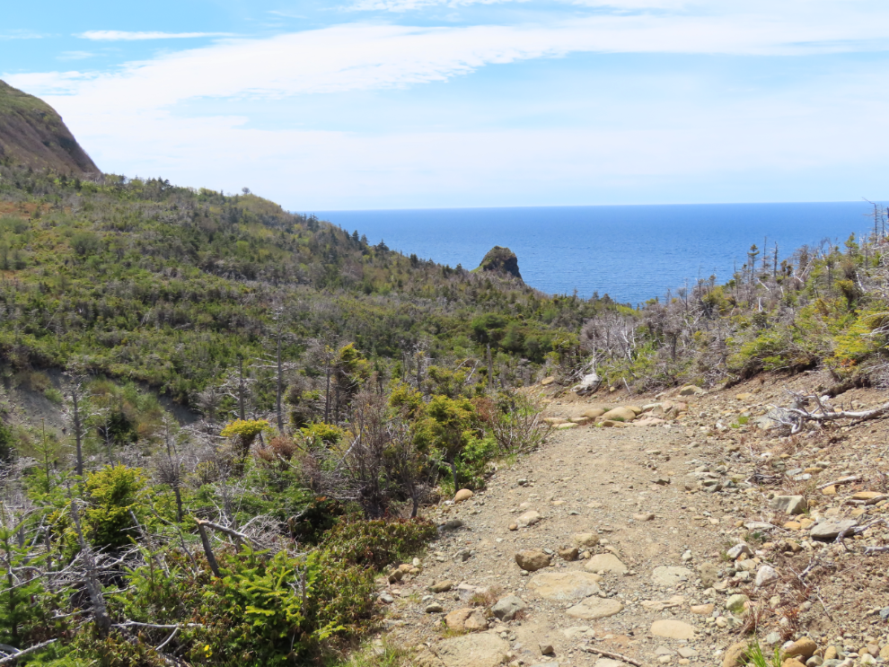 Green Gardens Trail, Gros Morne National Park, Newfoundland. 