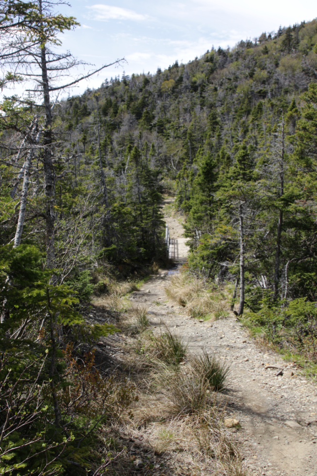 Green Gardens Trail, Gros Morne National Park, Newfoundland. 