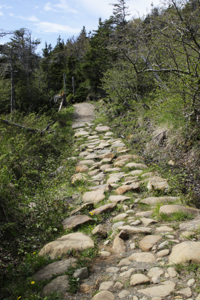 Green Gardens Trail, Gros Morne National Park, Newfoundland. 