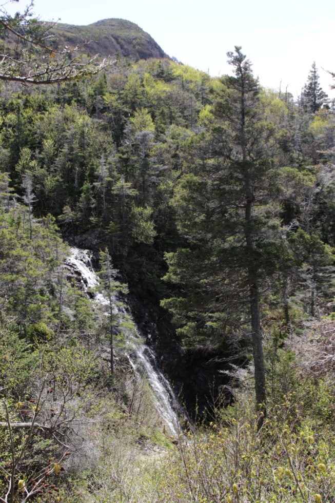A waterfall along Green Gardens Trail, Gros Morne National Park, Newfoundland. 