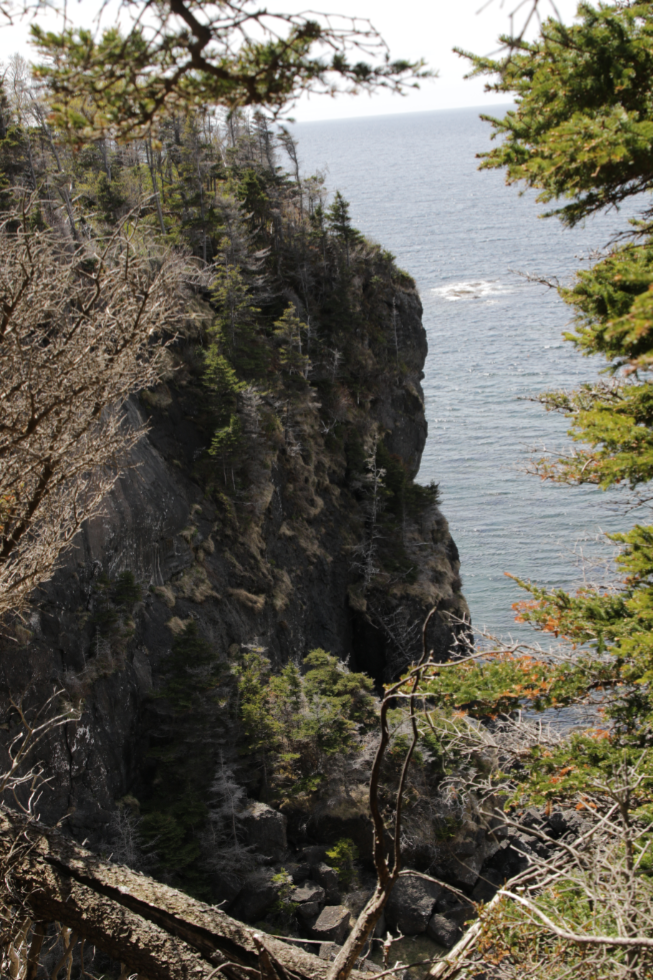 Green Gardens Trail, Gros Morne National Park, Newfoundland. 