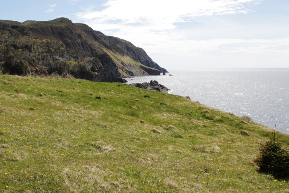 Green Gardens Trail, Gros Morne National Park, Newfoundland. 