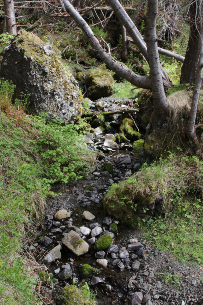 A tiny creek along Green Gardens Trail, Gros Morne National Park, Newfoundland. 