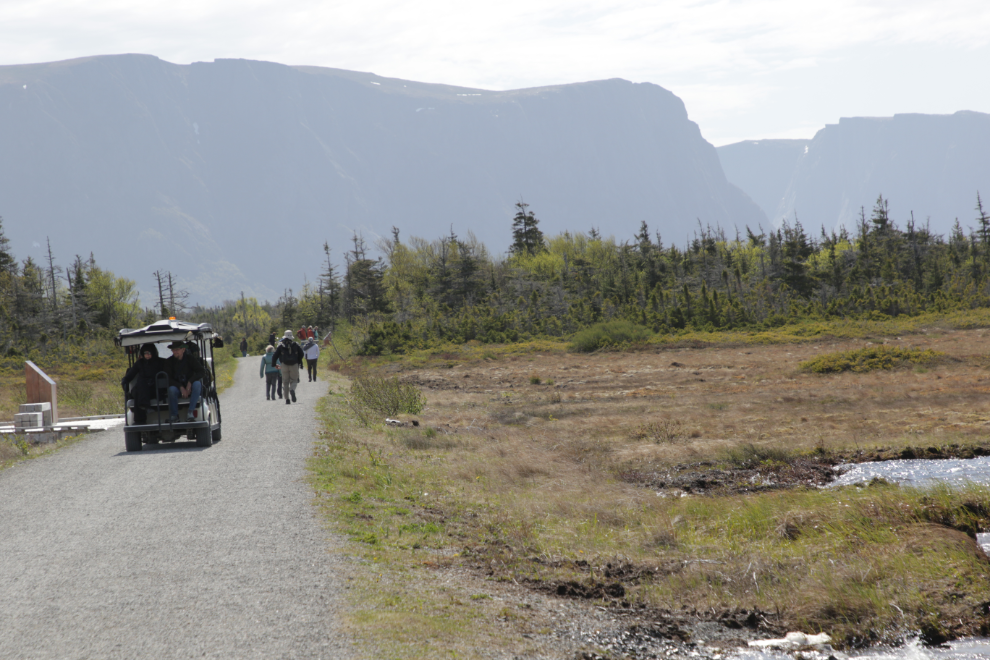 Walking or golf-carting to the Western Brook Pond boat tour, Gros Morne National Park, Newfoundland.