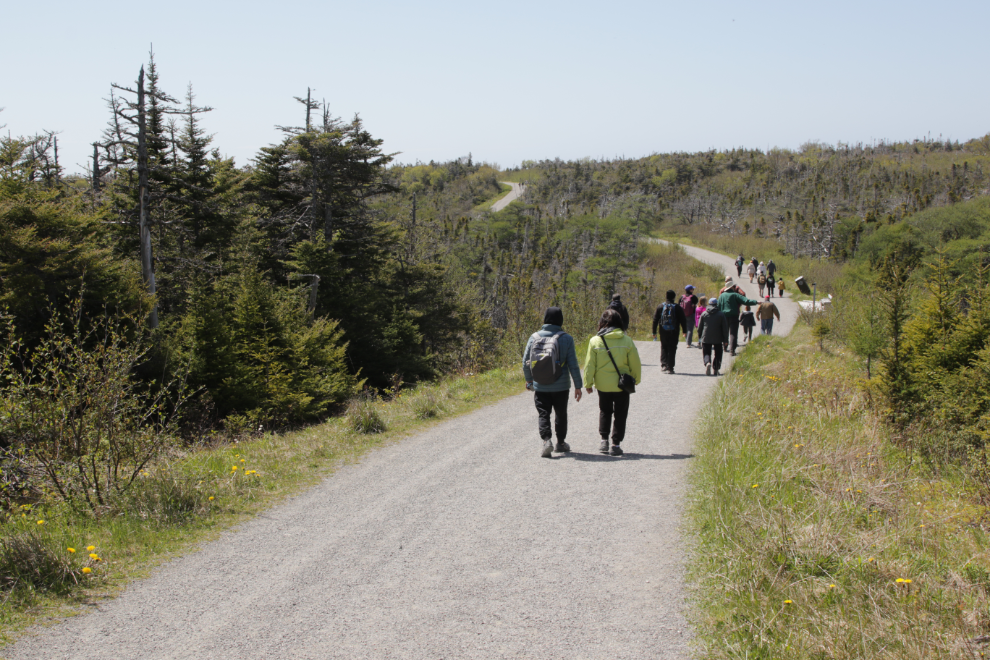 Walking back from the Western Brook Pond boat tour, Gros Morne National Park, Newfoundland.