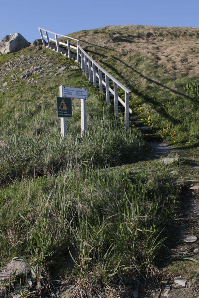 Stairs down to the Green Point UNESCO geologic site, Newfoundland.