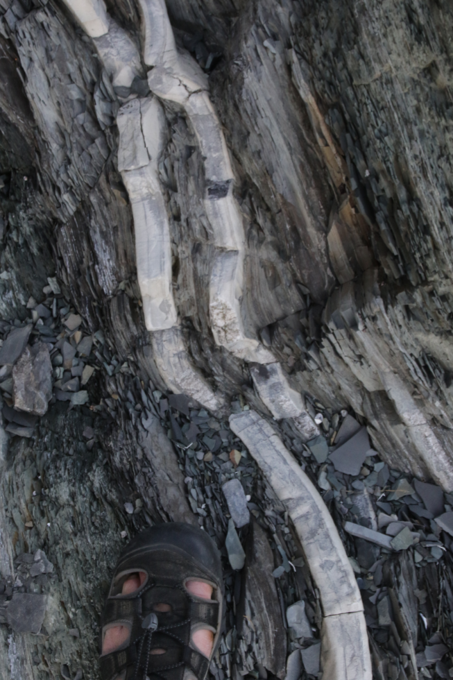 Green Point UNESCO geologic site, Newfoundland.