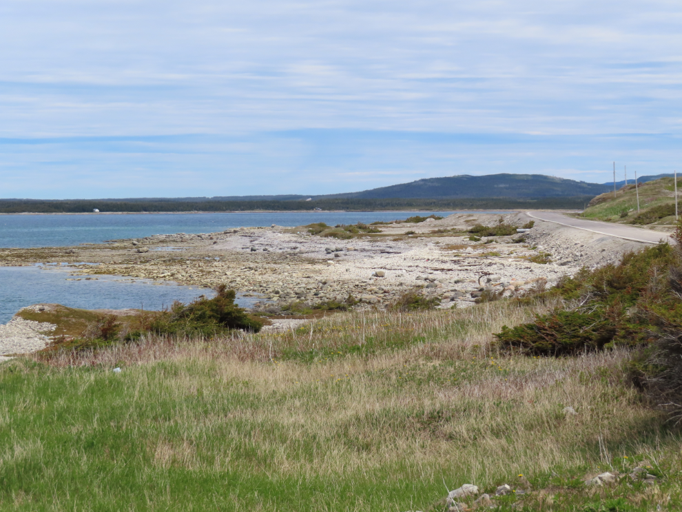 Along Highway 430 in Newfoundland.