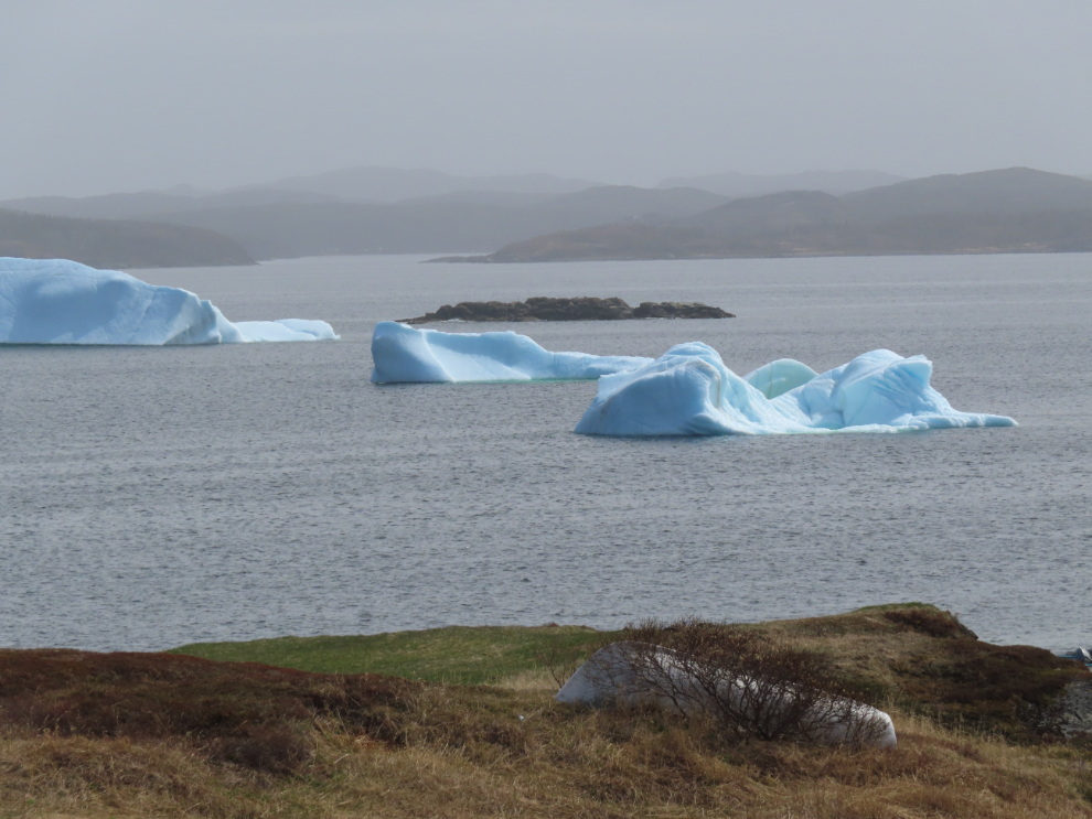 Icebergs at Saint Lunaire-Griquet, Newfoundland.
