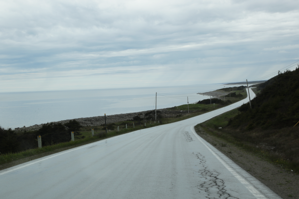 Along Highway 430 in Newfoundland.