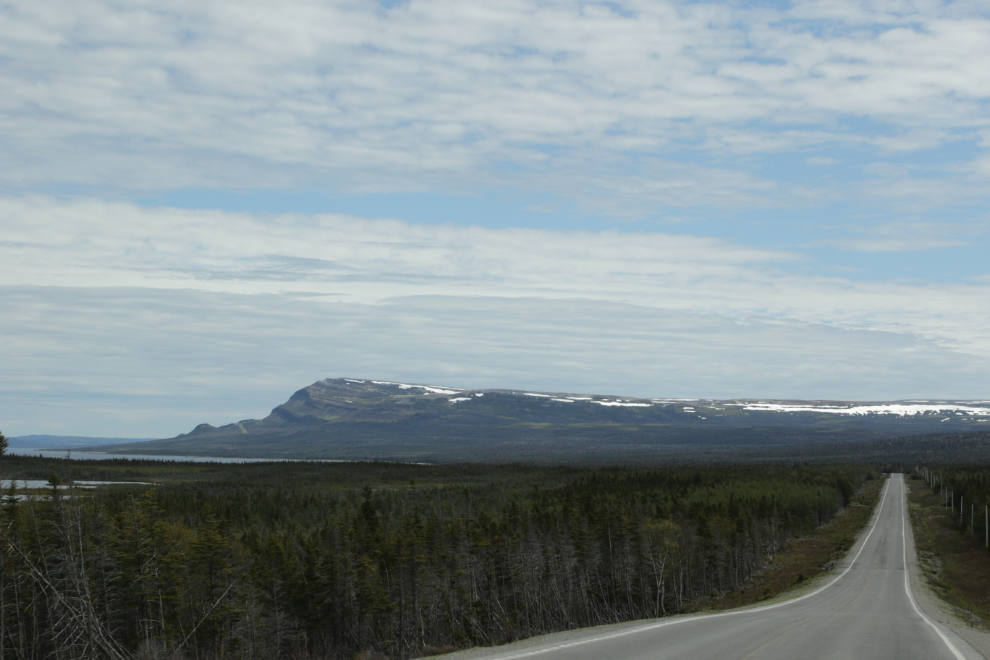 Along Highway 430 in Newfoundland.