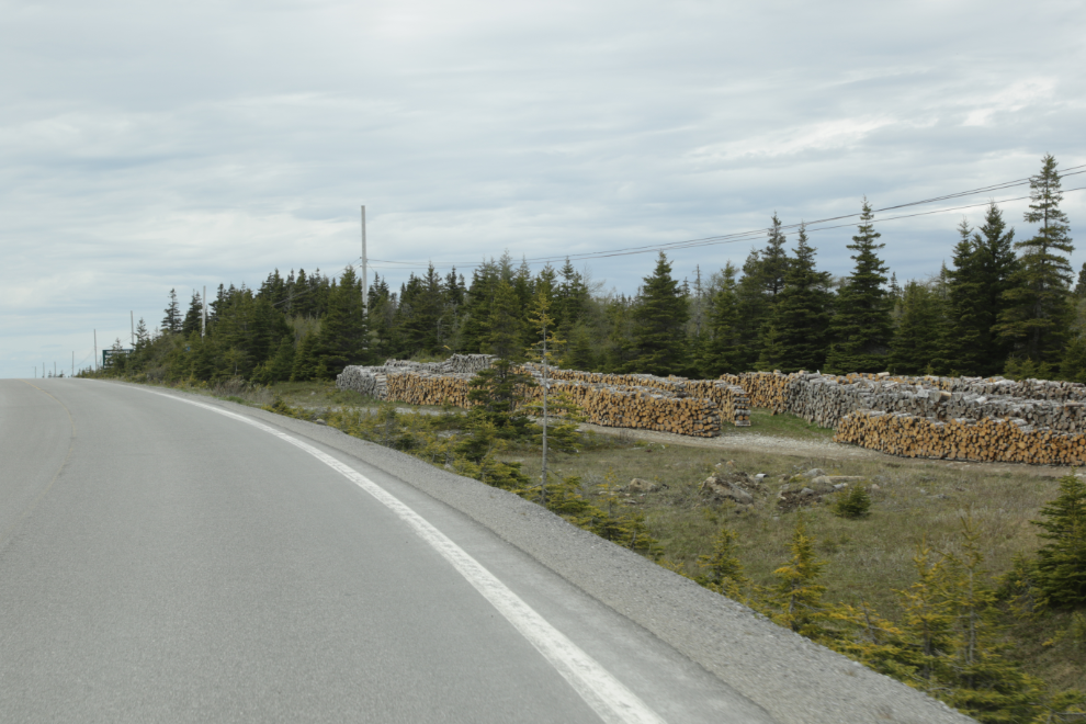 There are tens of thousands of cords  of firewood piled or stacked everywhere in Newfoundland.