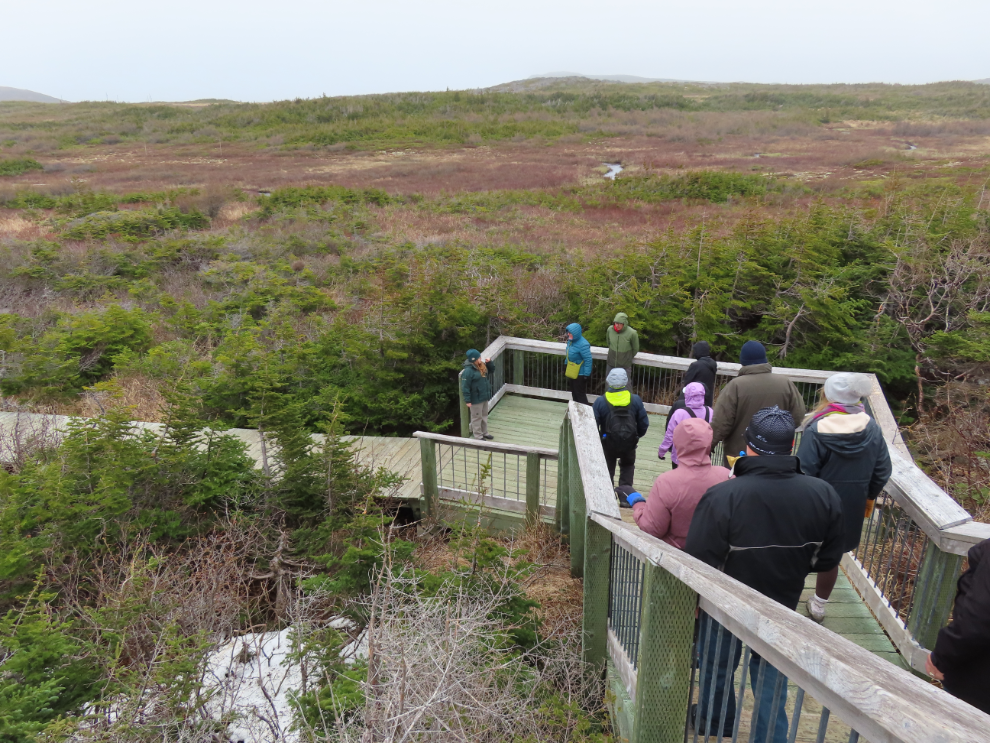 A tour group heading out at L'Anse aux Meadows National Historic Site, Newfoundland.