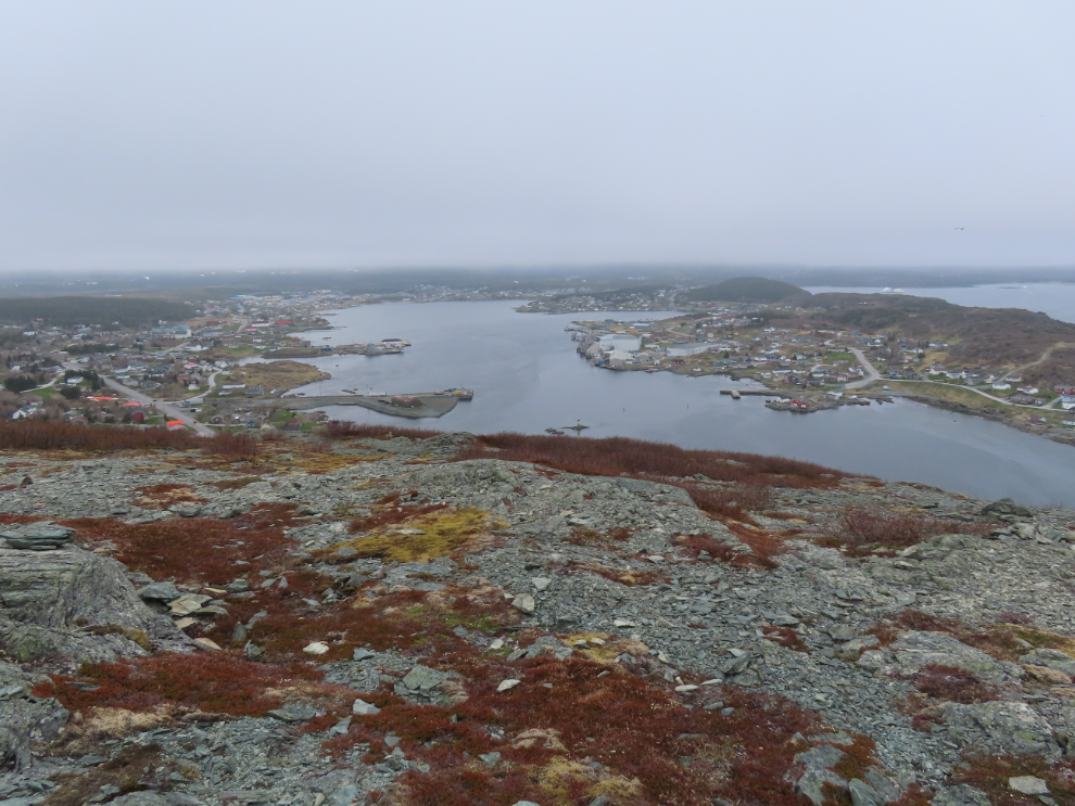 St. Anthony, Newfoundland, from the top of the Daredevil Trail.