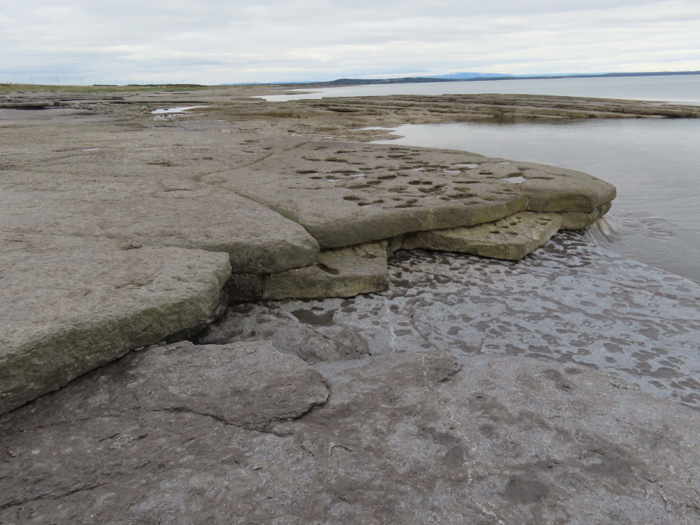 Newfoundland's limestone barrens meets the sea at Port au Choix.